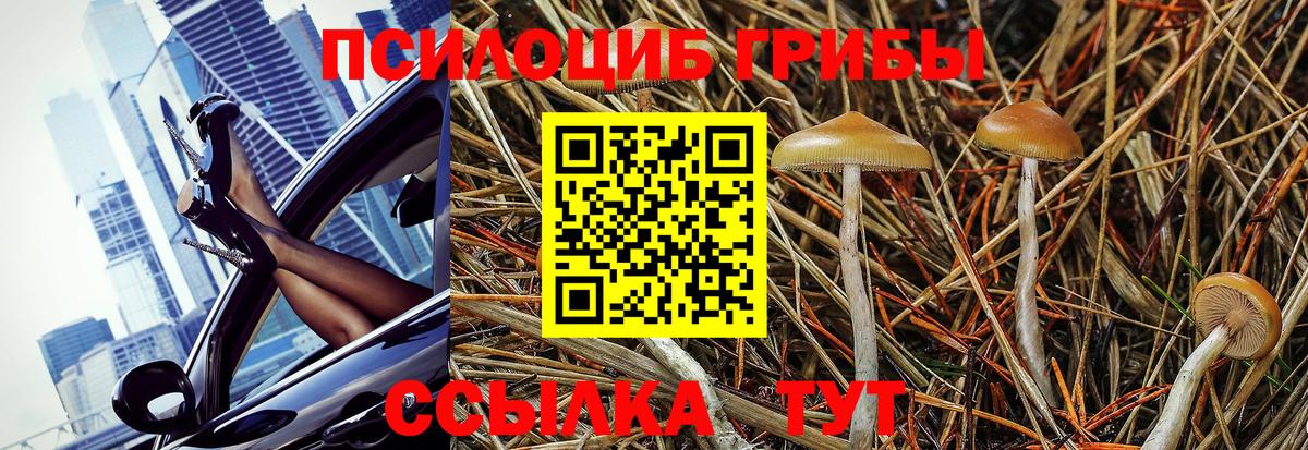 Елабуга  Галлюциногенные грибы мухоморы  Вход с VPN 